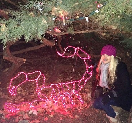 Krystal Gable only fans free