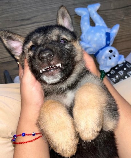 lillatinabaddie onlyfans keak