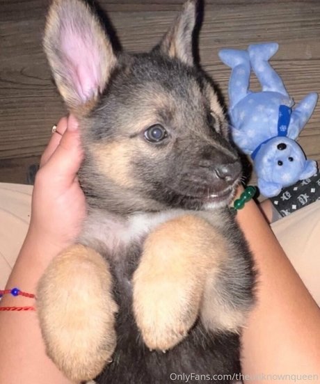 lillatinabaddie only fans nude