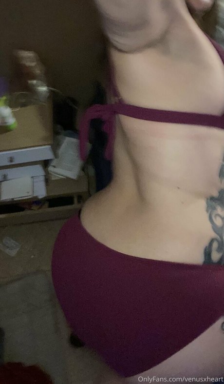 venusxheart onlyfans gratis