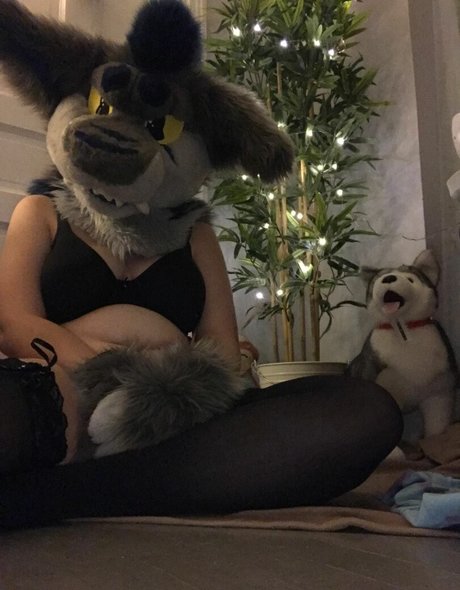 Donny Shark onlyfans leaked porn