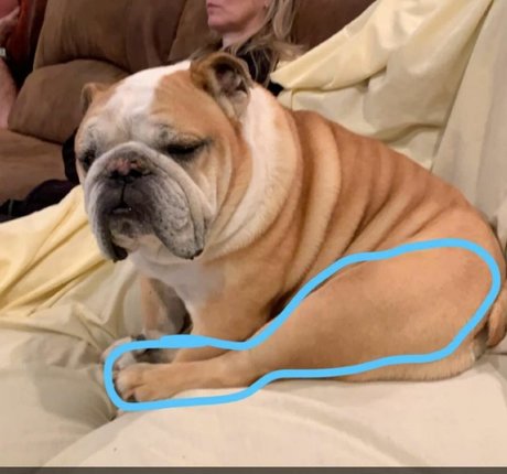 Courtney Craib joi onlyfans