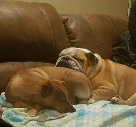 Courtney Craib onlyfans explicit content