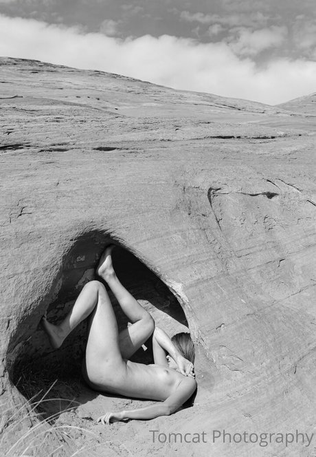 tomcat photography onlyfans porn