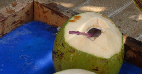 TukTuk Patrol nude leaked onlyfans