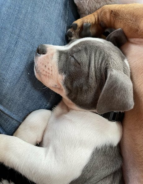 asmrjanina new onlyfans