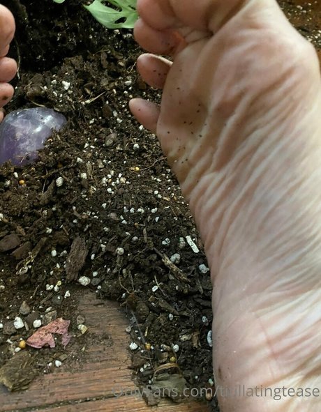 titillatingtease onlyfans naked