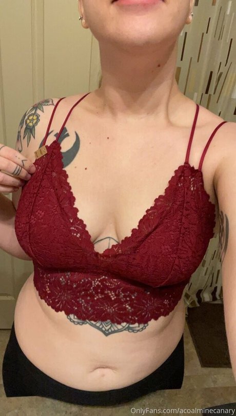 acoalminecanary onlyfans sex