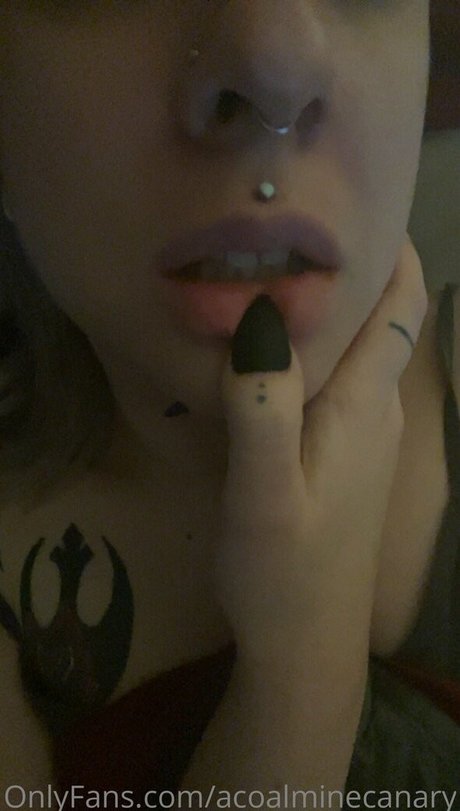 acoalminecanary onlyfans leak sex