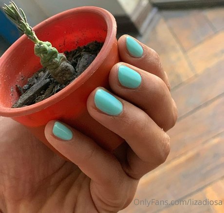 lizadiosa onlyfans leaked.