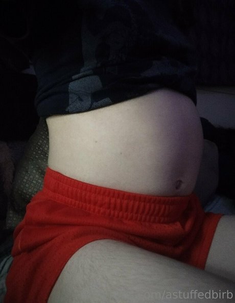 astuffedbirb onlyfans leakes