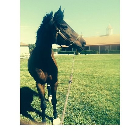 Ashton Hatchell boobs onlyfans