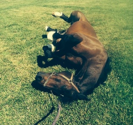 Ashton Hatchell leaked only fans nudes