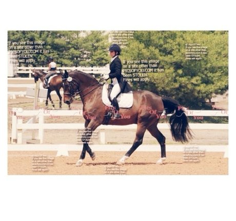 Ashton Hatchell onlyfans posts