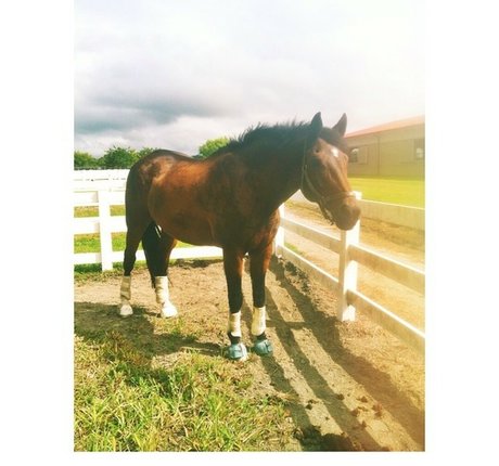 Ashton Hatchell only fans leak