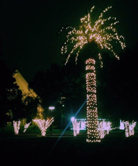 Ashton Hatchell only fans pic