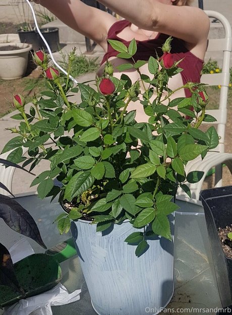 curvyycandyyfree onlyfans nide