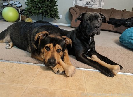 sheridanlove only fans pics