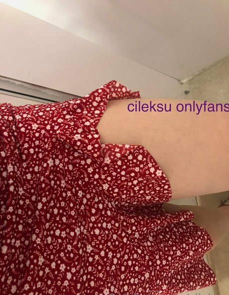 cileksu tits onlyfans