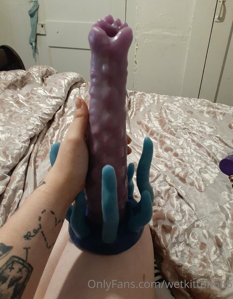 wetkitten666 leaked onlyfans content