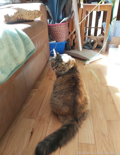 galaximoss onlyfans nide