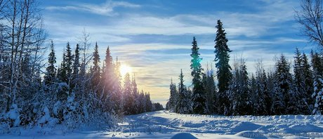 snow bunny907 onlyfans nude pictures