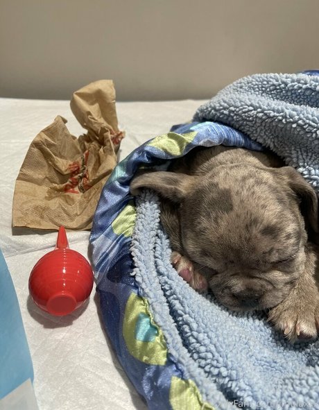 Jenelle Mathew onlyfans for free