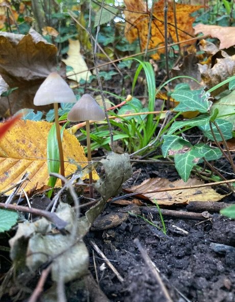 emiliamars leaked only fans nudes