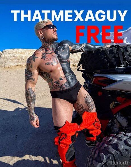 alfienorthfree only fans content