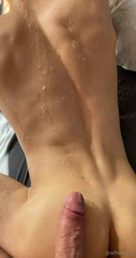 alfienorthfree onlyfans leajs