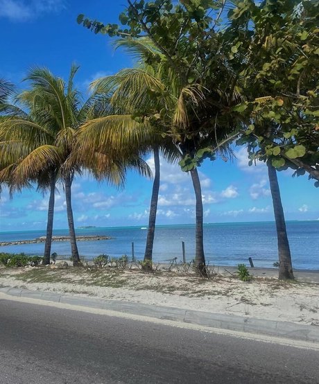 Charlotte Bregman onlyfans nude pics