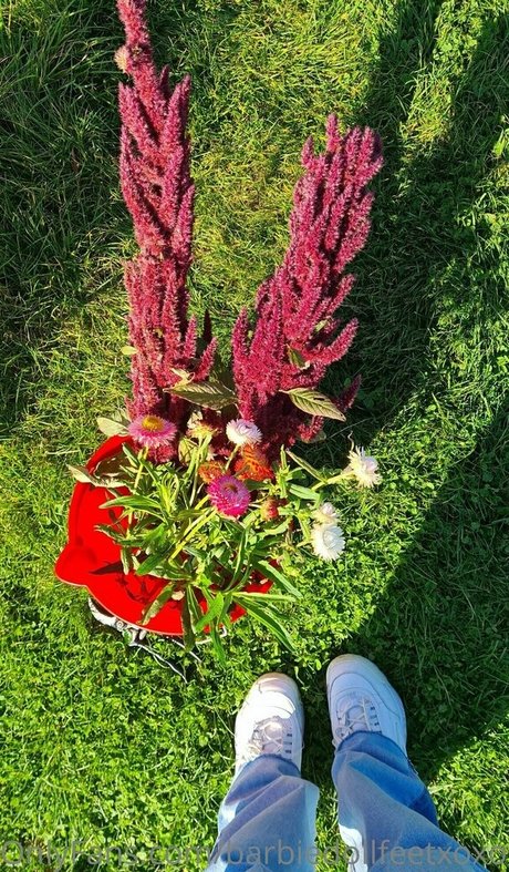 barbiedollfeetxoxofree pics onlyfans