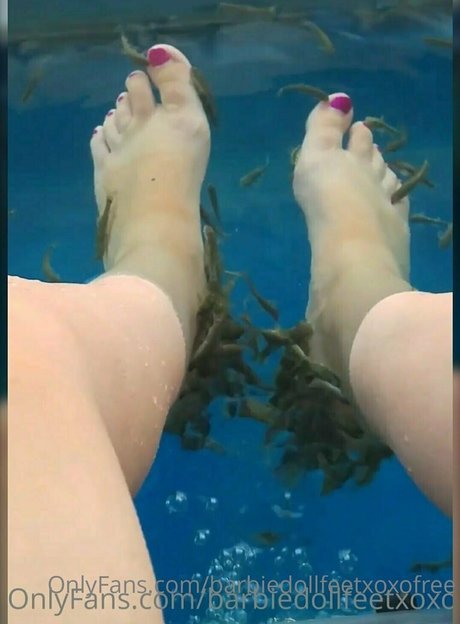 barbiedollfeetxoxofree only fans leaks