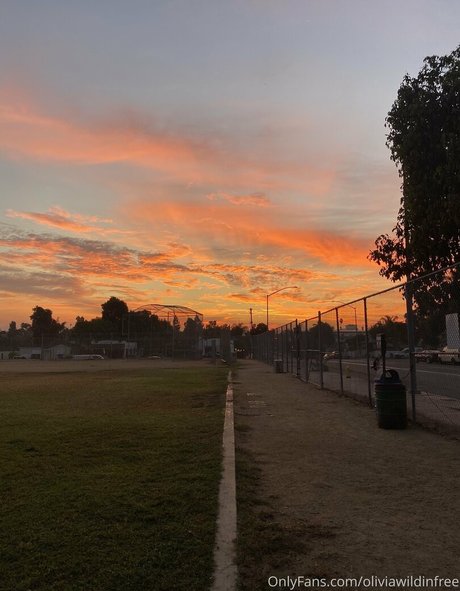 oliviawildinfree onlyfans nudes