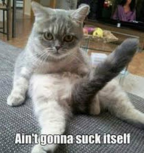 deonshea love onlyfans nsfw