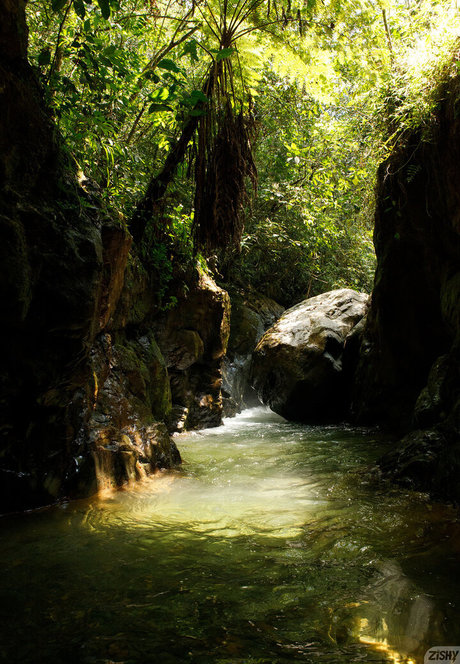 Ileana Burgos xxx onlyfans