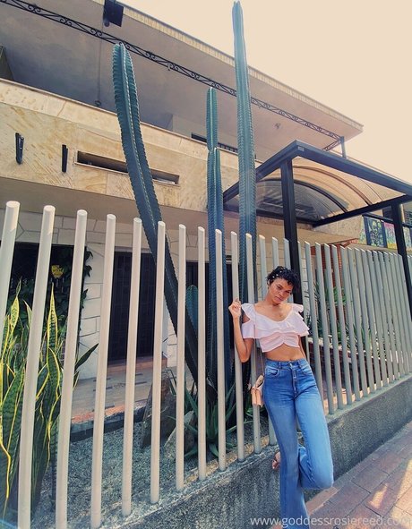 goddessrosiereed onlyfans leaks naked