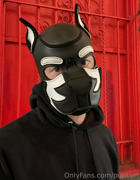 pupkurt onlyfans porn free