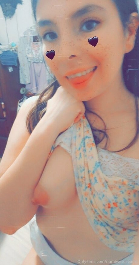 namiwetdreams onlyfans nude content