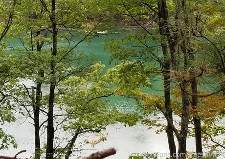 gingerhippie74 onlyfans nide