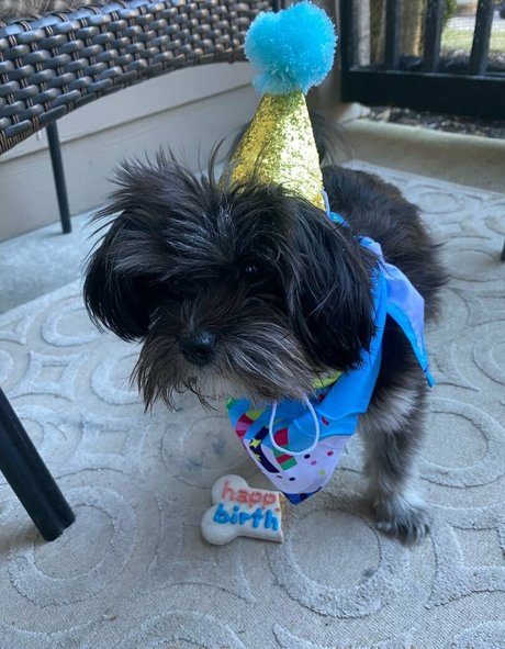 deltadawnlux leaked onlyfans sextape