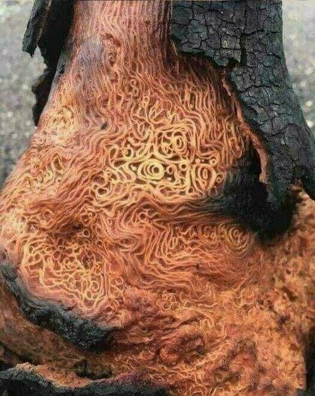 hotmesstv onlyfans sextape leak