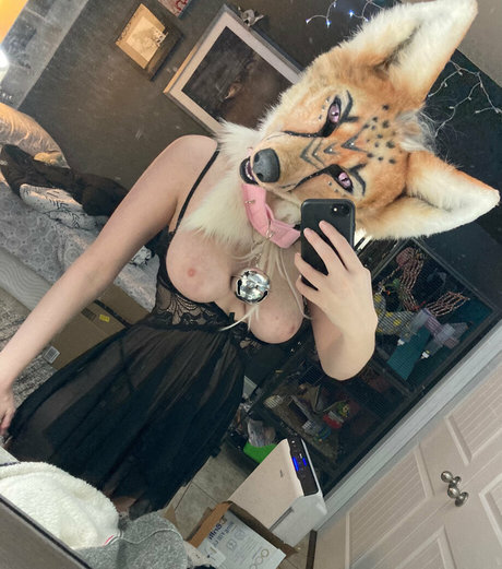 LividPuppy onlyfans archives