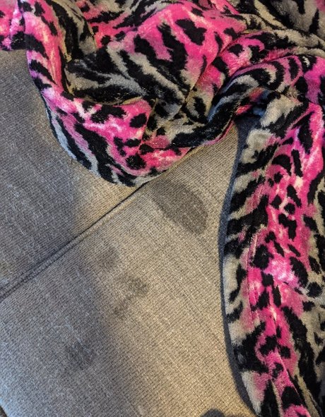 ashlynn212 porn onlyfans