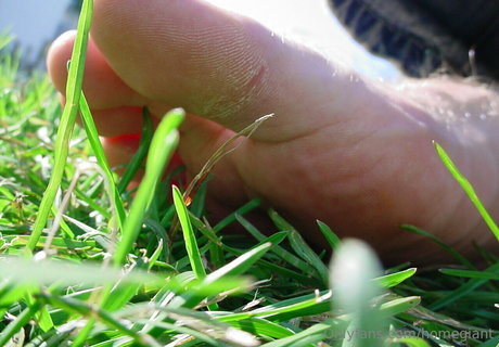 homegiant onlyfans leaks nudes