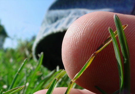 homegiant onlyfans leaked xxx