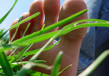 homegiant leaked onlyfans