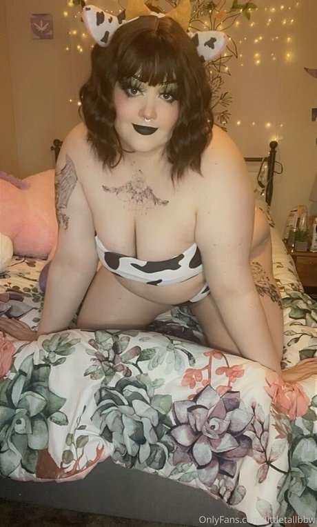 littletallbbw onlyfans content type
