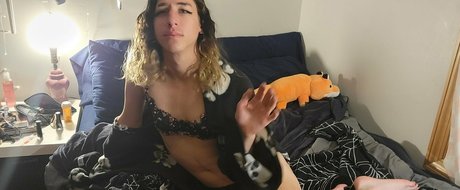 urcorvidae Profile pic