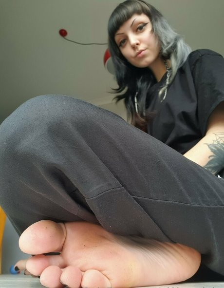 vi0let night Profile pic